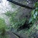 An irrigation channel surrounded by lush vegetation, including trees and ferns in Madeira, Portugal